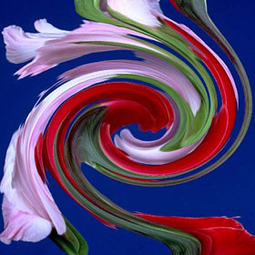 thingsniceart Logo